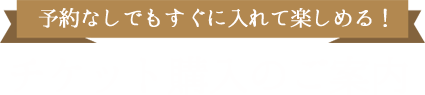 予約なしでもすぐに入れて楽しめる！チケット購入のご案内