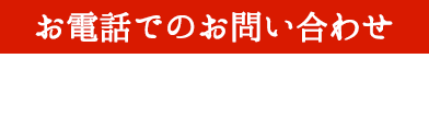 03-3841-6545